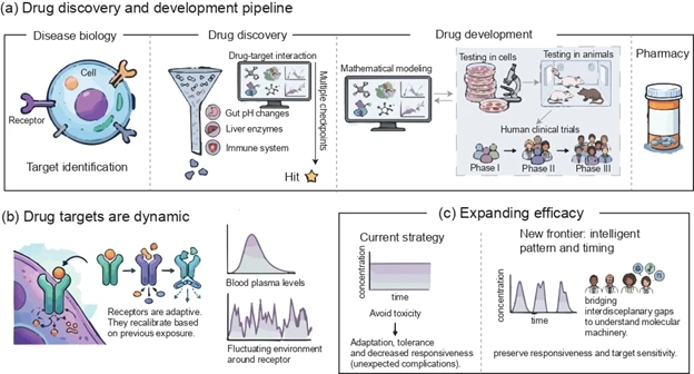 Drug discovery and development pipeline