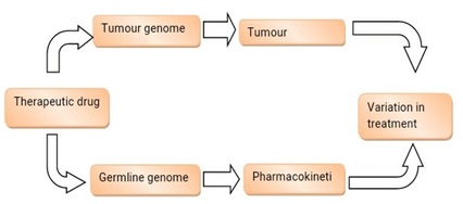Pharmacogenomics of Genomes In Drug Response