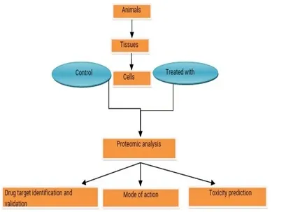 Steps Involved In Proteomics