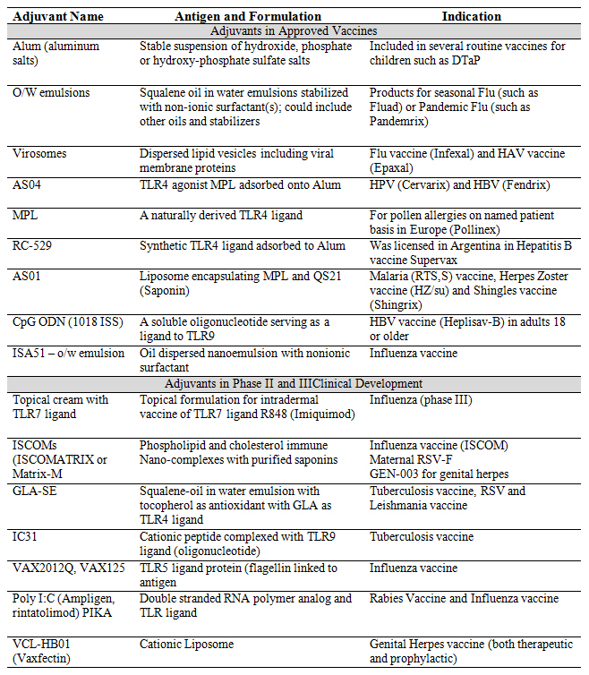 Vaccine Adjuvants - Past, Present, and Future