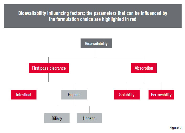 Bioavailability influencing factors