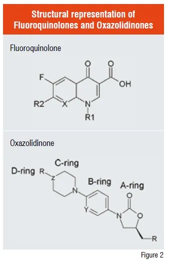 Structural representation of Fluoroquinolones and Oxazolidinones