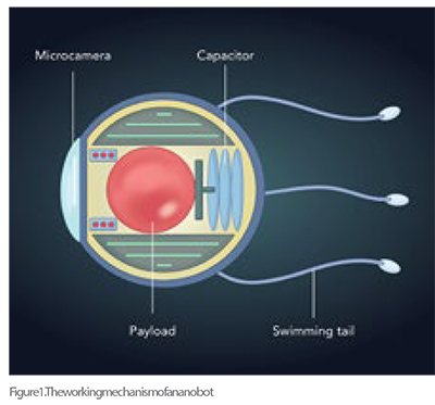 Nanobots in Lung Disease Interventions