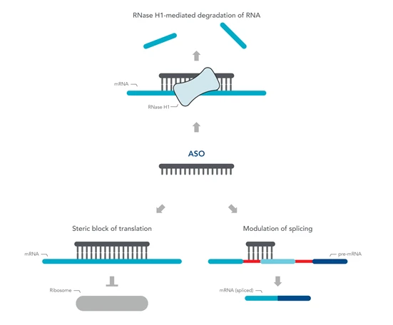 A complementary diagram depicts alternative pathways