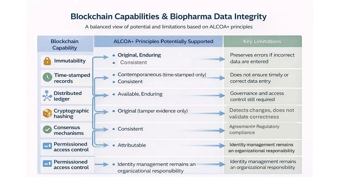 Mapping Blockchain