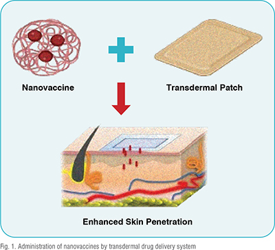 Administration of nanovaccines by transdermal drug delivery system