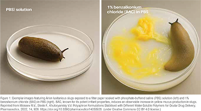 Invertebrate model organisms used in toxicology