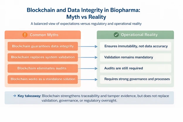 Blockchain Data Integrity