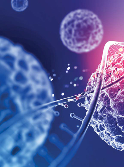 Cell Therapies