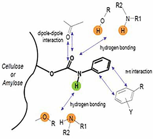 Chiral Chromatography in Pharmaceutical Analysis | Pharma Manufacturing