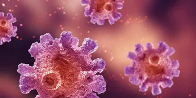 Cancer cell