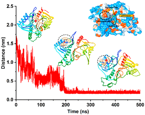 allosteric monkeypox antiviral research