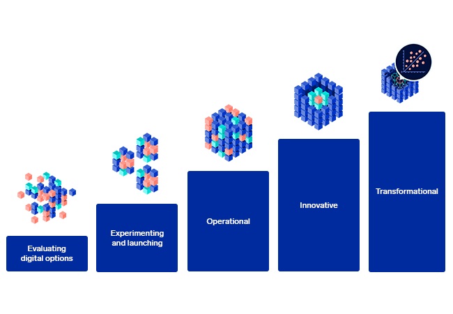 Five Stages of Digital Maturity