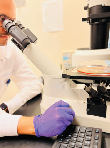 Benefits of diversity in pharma