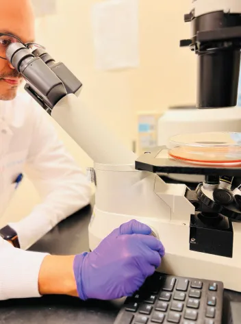 Benefits of diversity in pharma