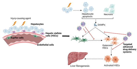 Drug Delivery Systems