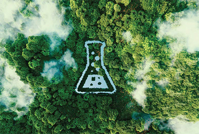 Ecopharmacovigilance