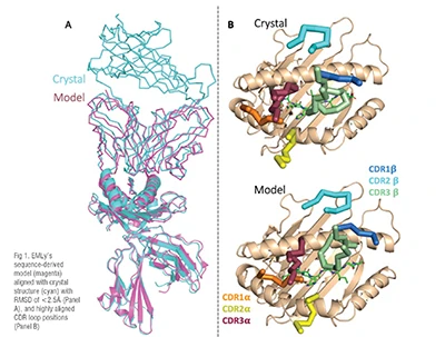 biologics engineering 