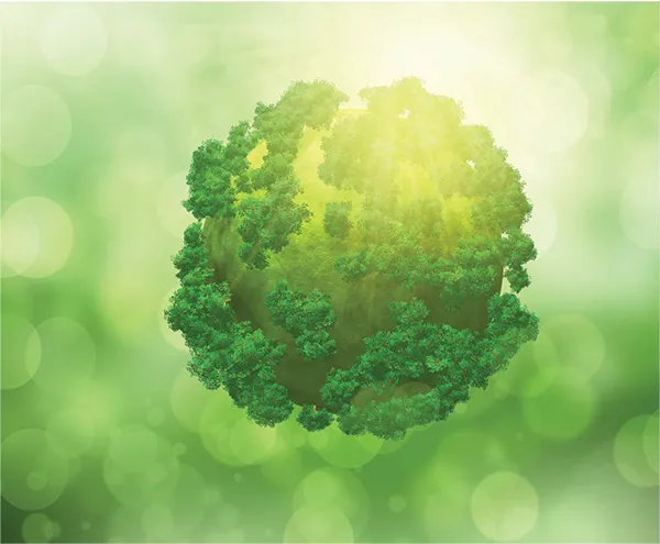 Environmental and Sustainability Requirements in Drug Procurement