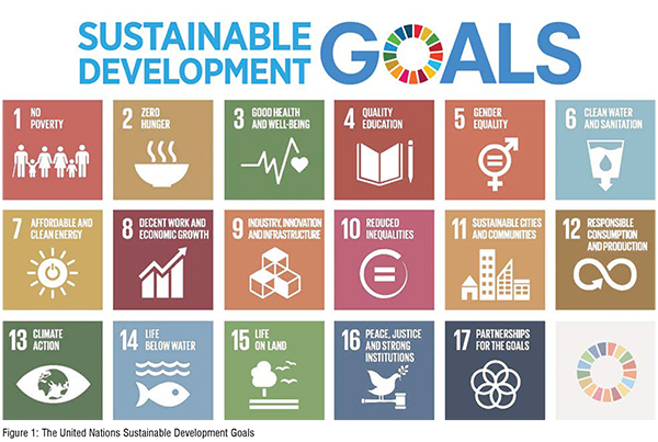 The United Nations Sustainable Development Goals