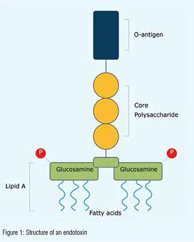 Biomedical applications