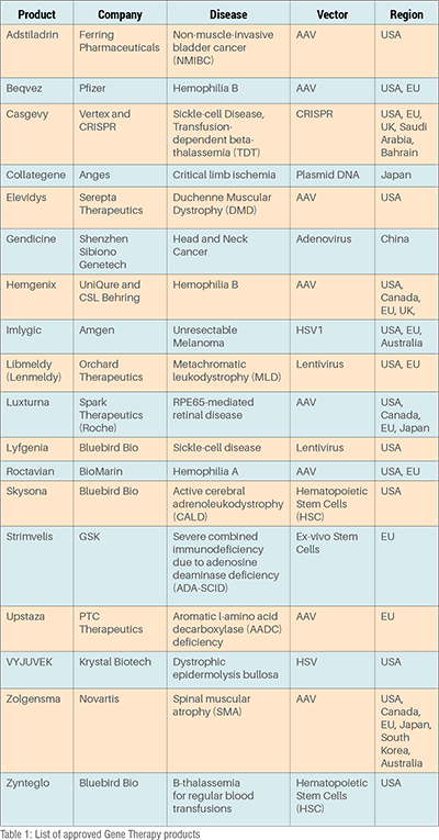 Quality control checkpoints in GMP gene therapy manufacturing