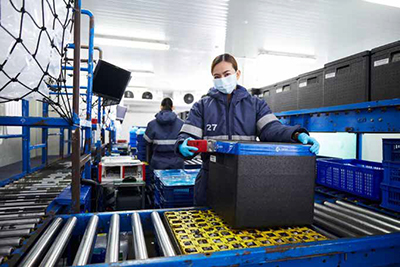 regional expertise & stakeholder engagement