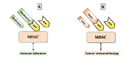 Cancer immunotherapy