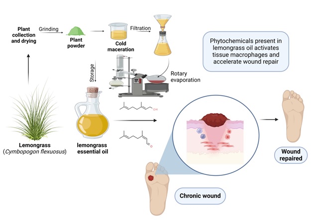 Lemongrass Oil