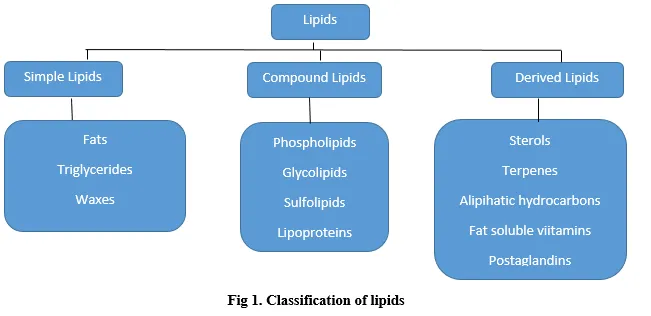 Lipid Excipients and Formulation Development