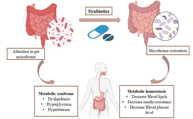 Mechanisms of synbiotics on metabolic diseases targeting gut microbiota