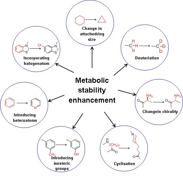  metabolic stability in drug design