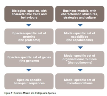 business models are analogous to species