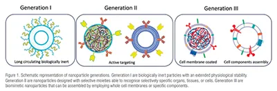Drug targeting