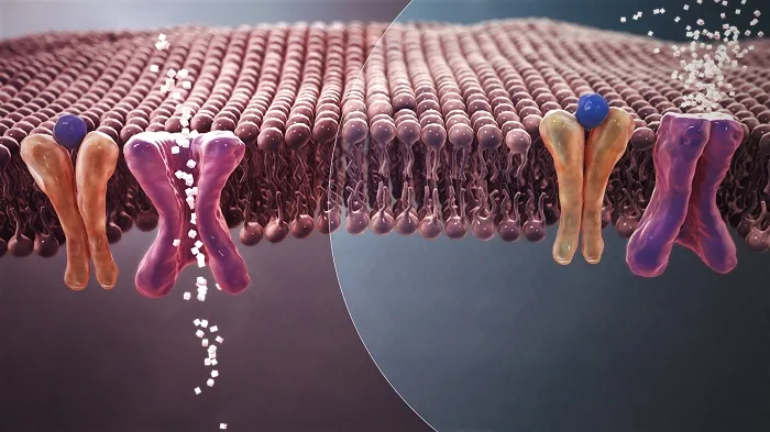 Antidiabetic Drug Discovery