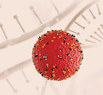 Oligonucleotide Therapeutics