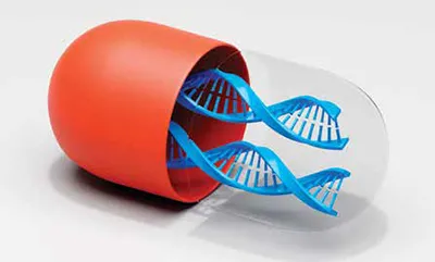 DNA/RNA strand with targeted gene silencing visualization