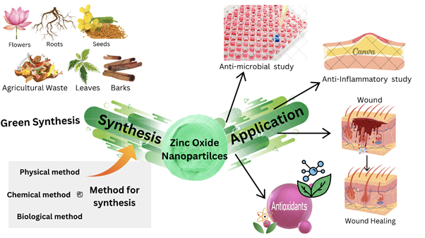 Green-Synthesized ZnO Nanoparticles