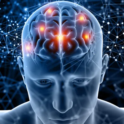Central Nervous System (CNS) drug discovery