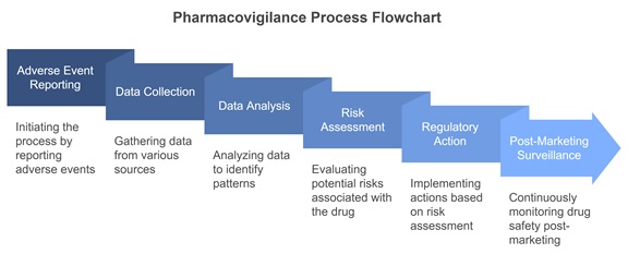 Process Flowchart