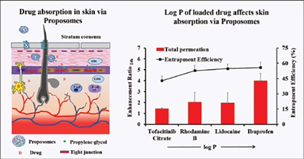 Proposome, an Efficient and Safe Topical Formulation