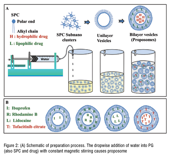 schematic of preparation process