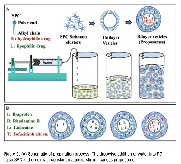 schematic of preparation process