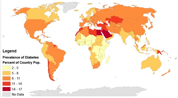 International Diabetes Federation