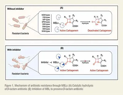 Antibiotic resistance
