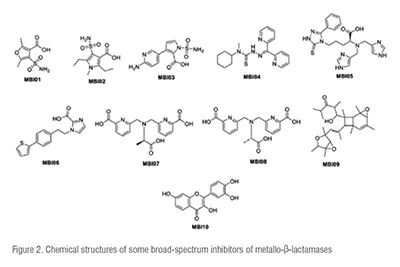 Broad spectrum inhibitors