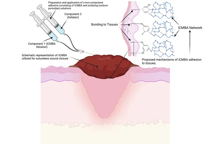 Bio-Adhesive Gels