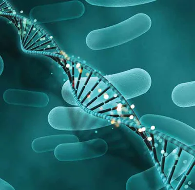 microRNAs in Cancer