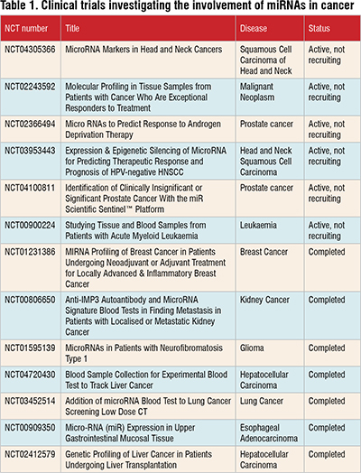  miRNAs and small molecule inhibitors in cancer treatment