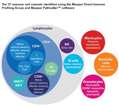 Immune cell profiling